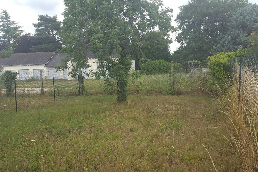 Charmante Maison Pres Du Centre Ville Amboise Eksteriør billede